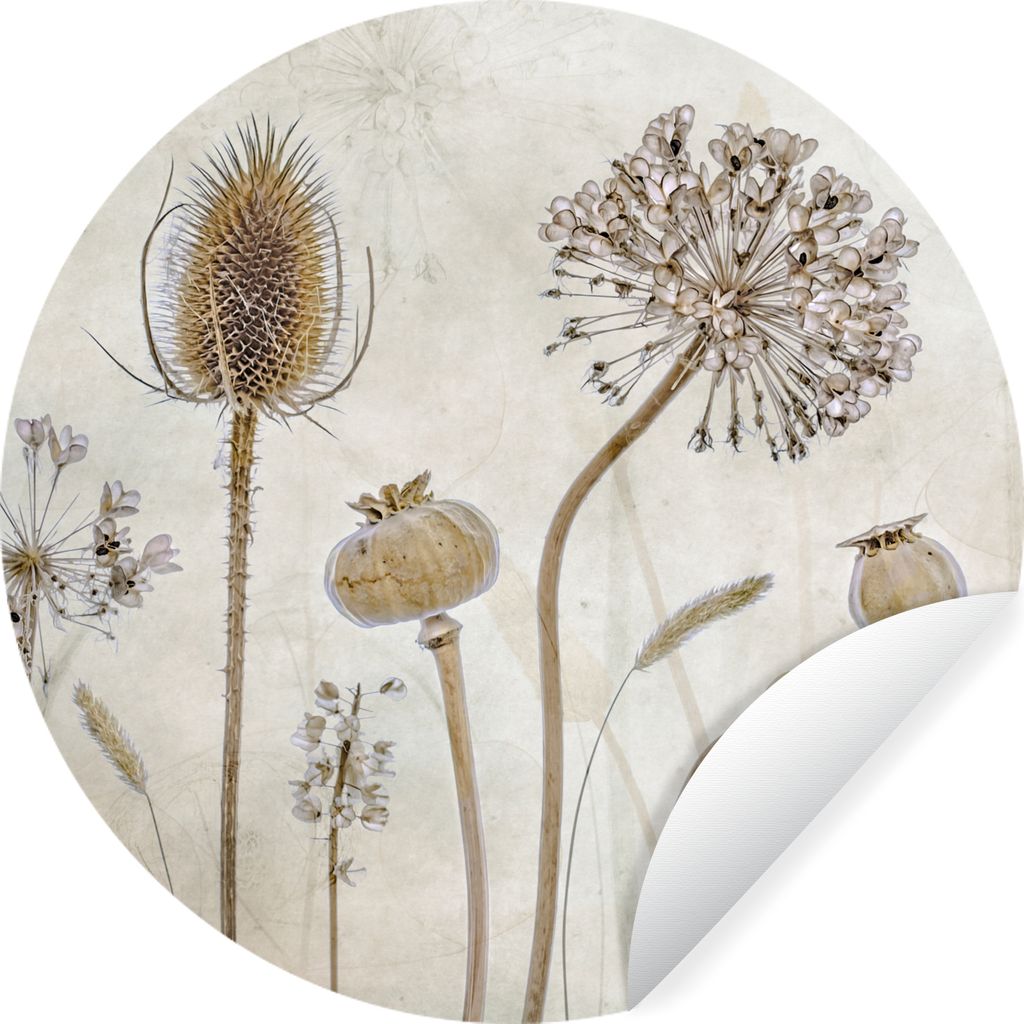 MuchoWow Runde Wandtattoo - Wandsticker Tapete Aufkleber Blumen - Aquarell - Stilleben - Braun - Vintage Ø 80 cm Selbstklebend und Repositionier...