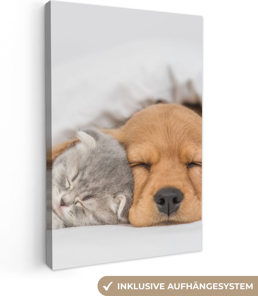 MuchoWow - Leinwandbilder - Haustiere - Hund - Katze - Decke, Wandbild, Wanddeko Bilder Wohnzimmer, 40x60 cm