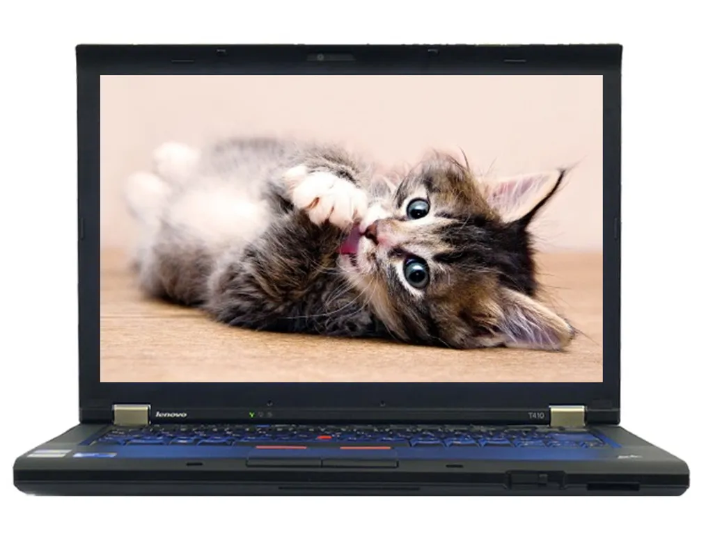 Câble Vidéo LCD Lenovo ThinkPad E40 E50 L410 - Réparation Écran Laptop