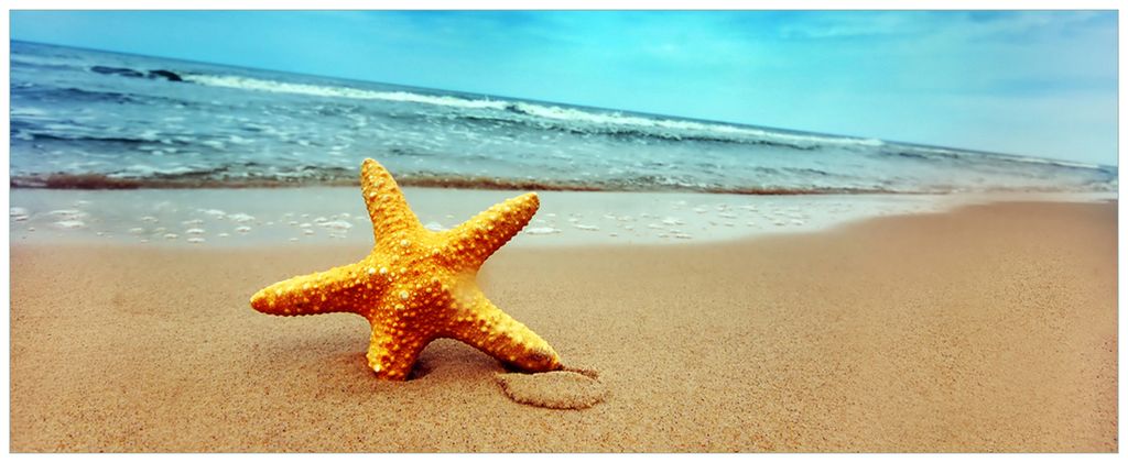 Wallario Wandbild aus Acryl, 125 x 50 cm, freischwebende Optik - Seestern am Strand am Meer