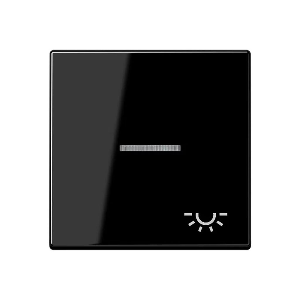 Jung A590KO5LSW Wippe mit Symbol "Licht" KO