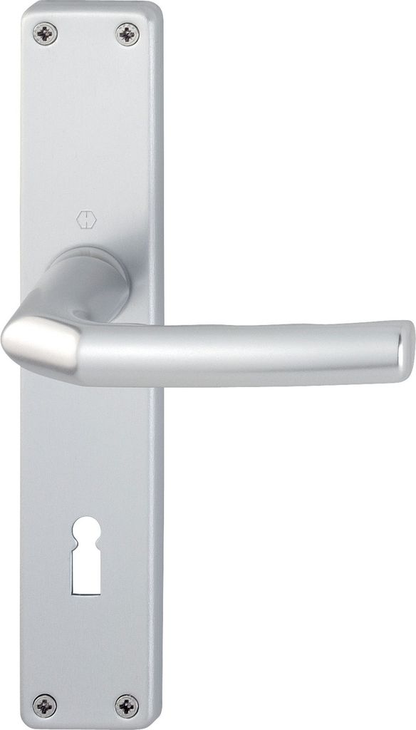 Zestaw długich rozet Birm.1117/202SP Aluminium F1 OB 72mm Zdjęcie produktu