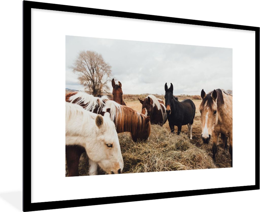 MuchoWow Gerahmtes Poster Tiere - Pferd 90x60 cm - Poster mit Schwarzem Bilderrahmen Wandposter Rahmen Foto Bilder - Wanddekoration - Fotos