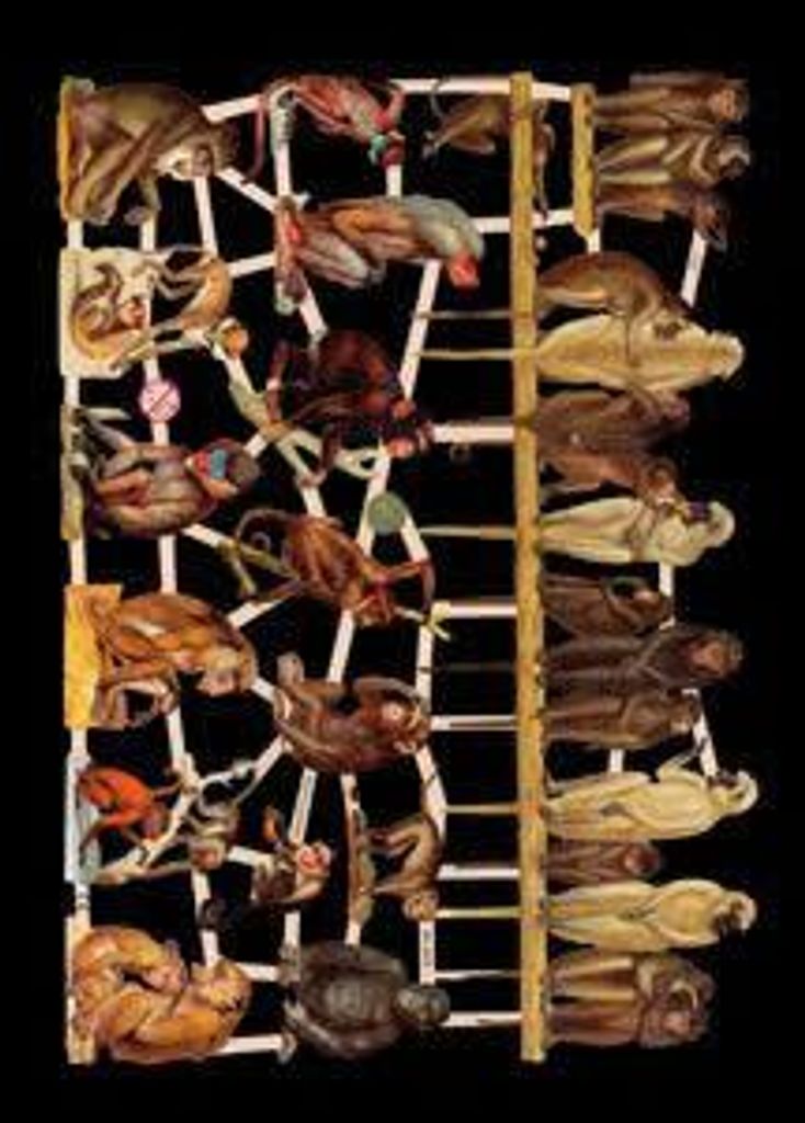 Glanzbilder - Affen Motiv 2