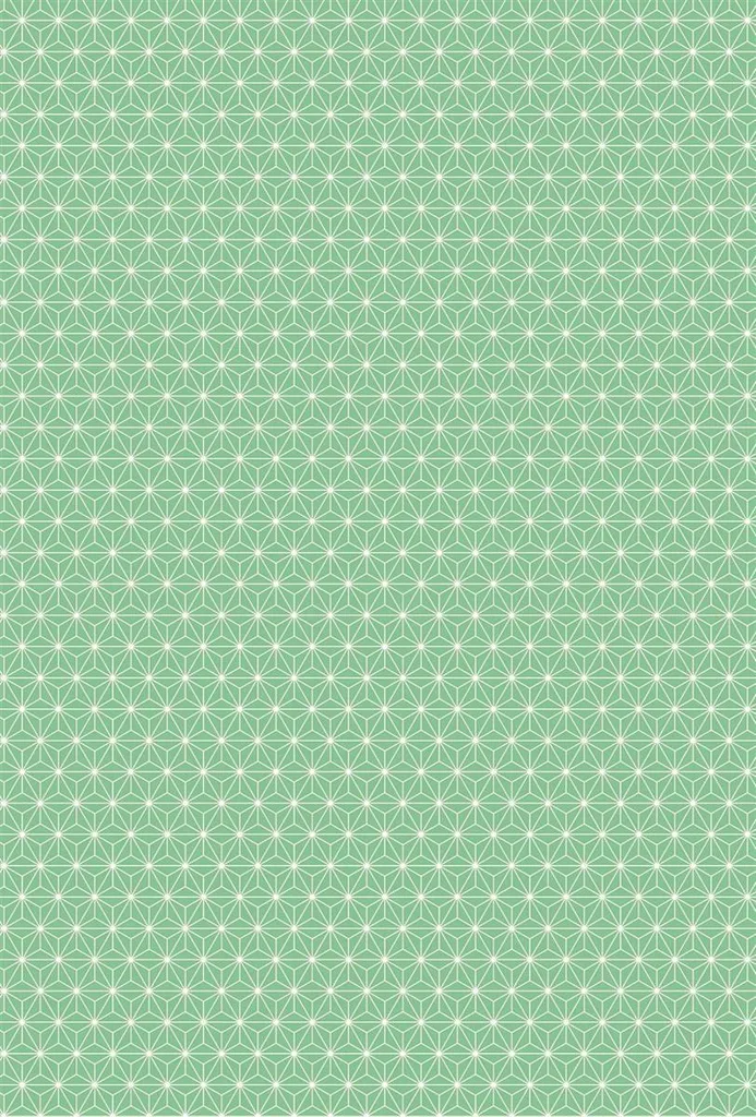 Heyda 204776449 Carton Design Starlight A4 21x31cm avec Bande de Codage