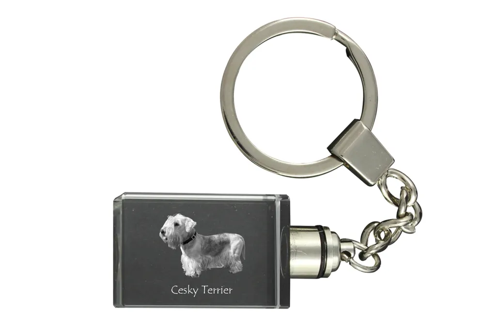 Portachiavi Cane Terrier Ceco in Cristallo 3D con LED Art-Dog Italia