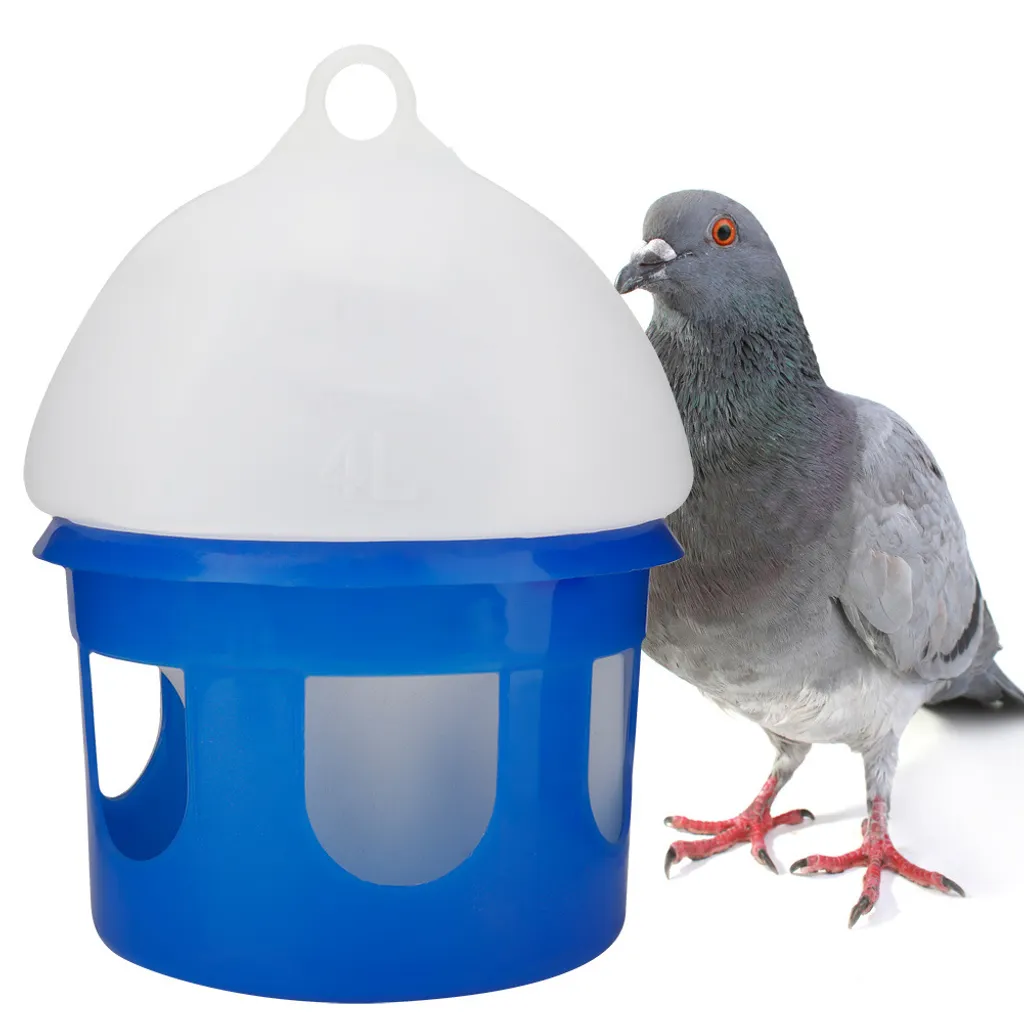 Offerta Mangiatoia + Abbeveratoio Piccioni - Kit Completo Scontato - 4