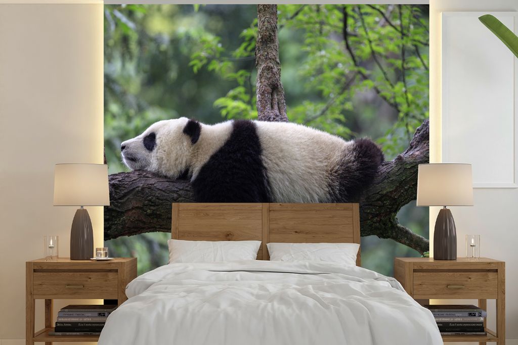MuchoWow Fototapete für Wohnzimmer oder Schlafzimmer Wandtapete Vinyl Motivtapete Panda - Baum - Tiere - Natur - 300x300 cm - Wanddekoration