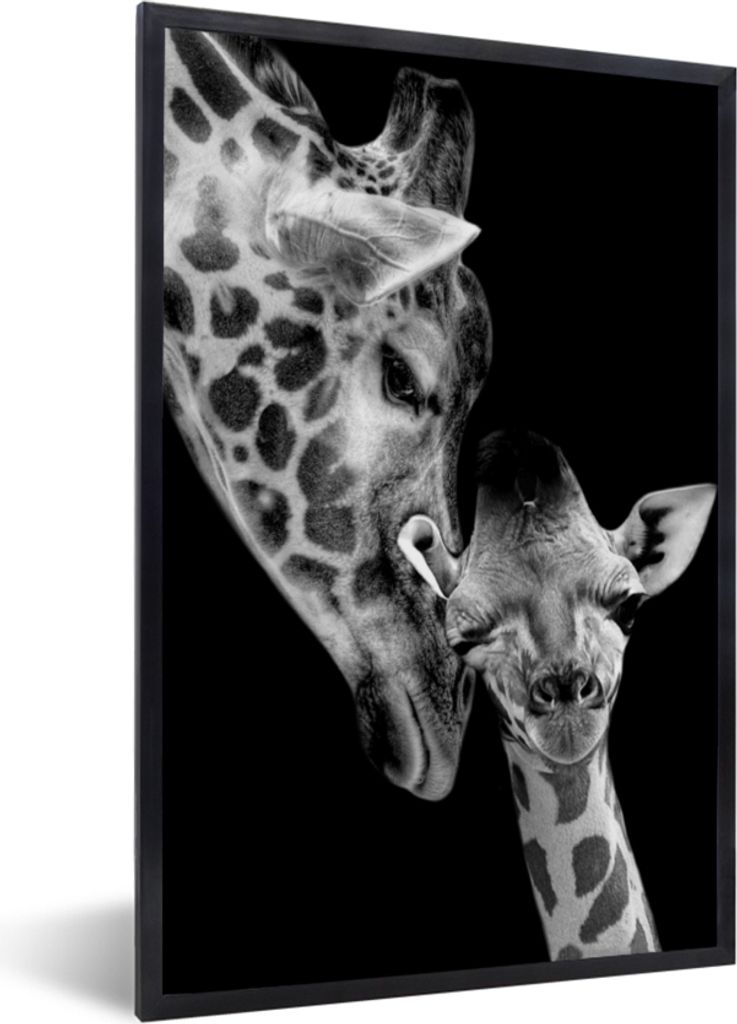MuchoWow Gerahmtes Poster Porträt - Giraffe - Tiere - Schwarz - Weiß 20x30 cm - Poster mit Schwarzem Bilderrahmen Wandposter Rahmen Foto Bilder...