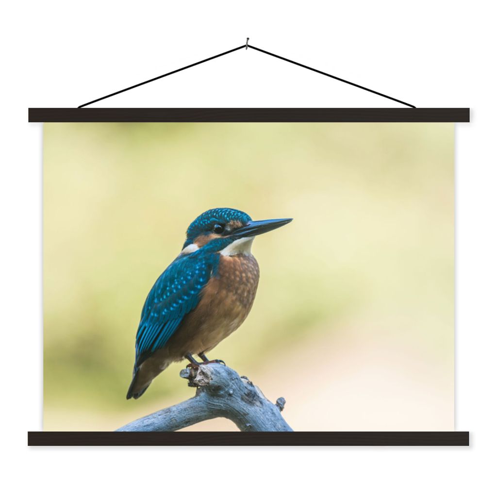 MuchoWow Textilposter Eisvogel - Zweig - Vogel 120x90 cm mit schwarzem Rahmen - Aufhänger für Poster