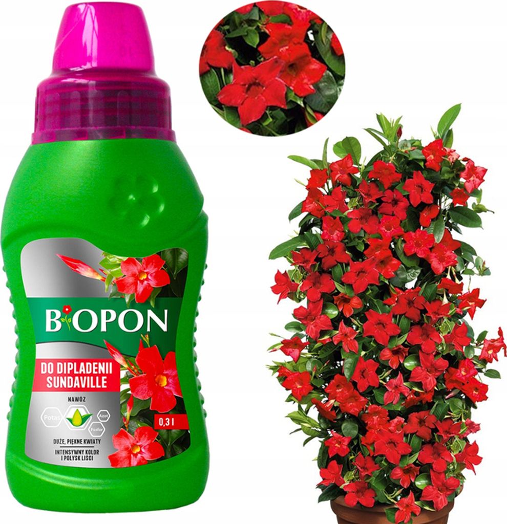 Dipladenia-Dünger Sundaville 0,3L Gesundes Wachstum und reiche Blüte