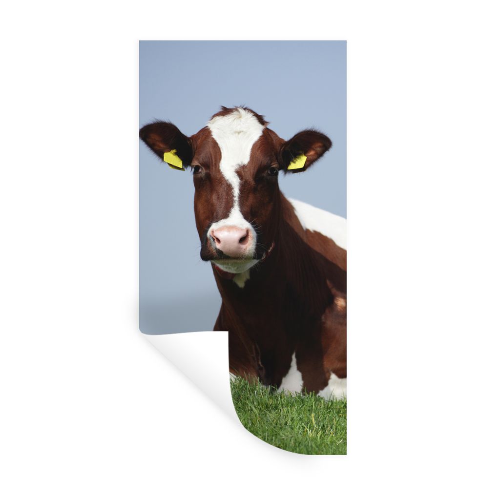 MuchoWow Wandtattoo Wandsticker Wandaufkleber Kühe - Gras - Friesland 60x120 cm Selbstklebend und Repositionierbar - Selbstklebend - Fototapeten