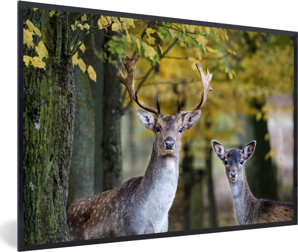 MuchoWow MuchoWow Gerahmtes Poster Hirsche - Tiere - Baum 60x40 cm - Poster mit zchwarzem Bilderrahmen - Printing - Wanddeko Schlafzimmer