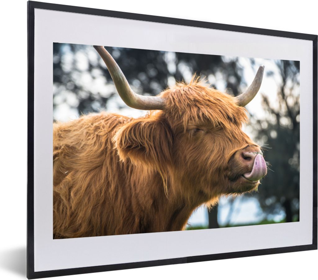 MuchoWow MuchoWow Gerahmtes Poster Schottisches Hochlandrind - Nase - Baum 60x40 cm - Poster mit zchwarzem Bilderrahmen - Schlafzimmer - Plakat...