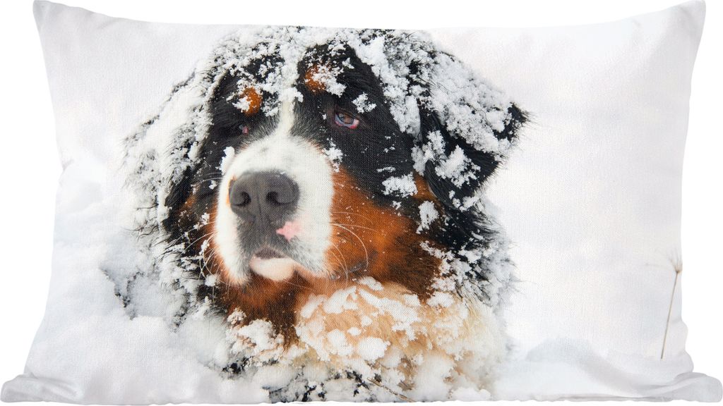 MuchoWow Zierkissen Sofakissen Wohnzimmer Dekokissen 50x30 cm Snowy Berner Sennenhund - Wohnzimmerdekoration - Polster mit Photo