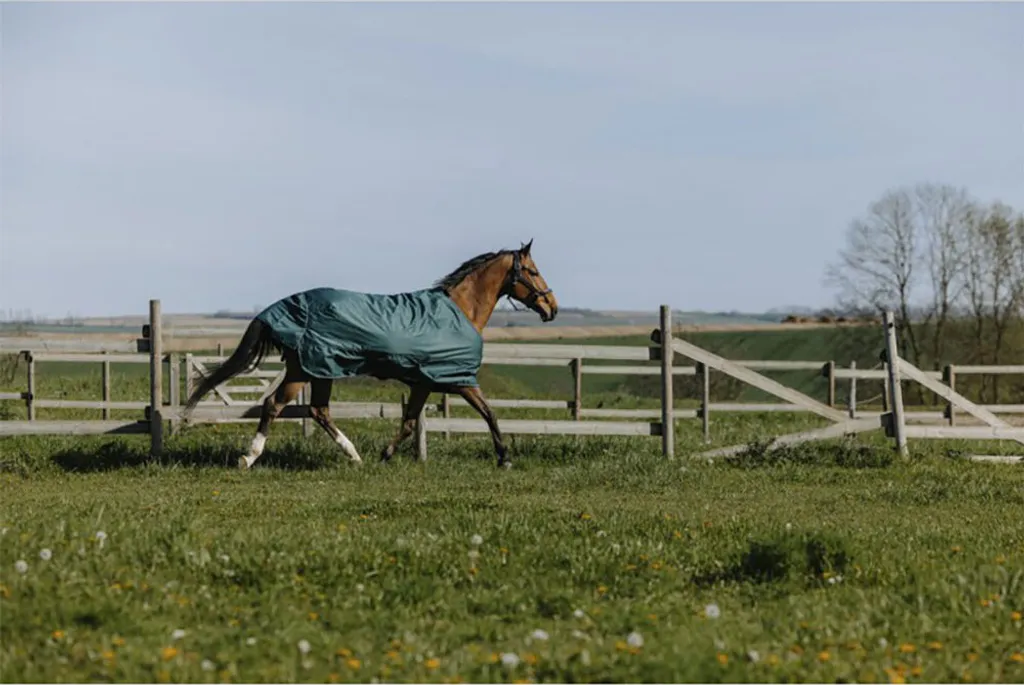 Couverture de Paddock Imperméable Equithème Tyrex 600D 150g Verte