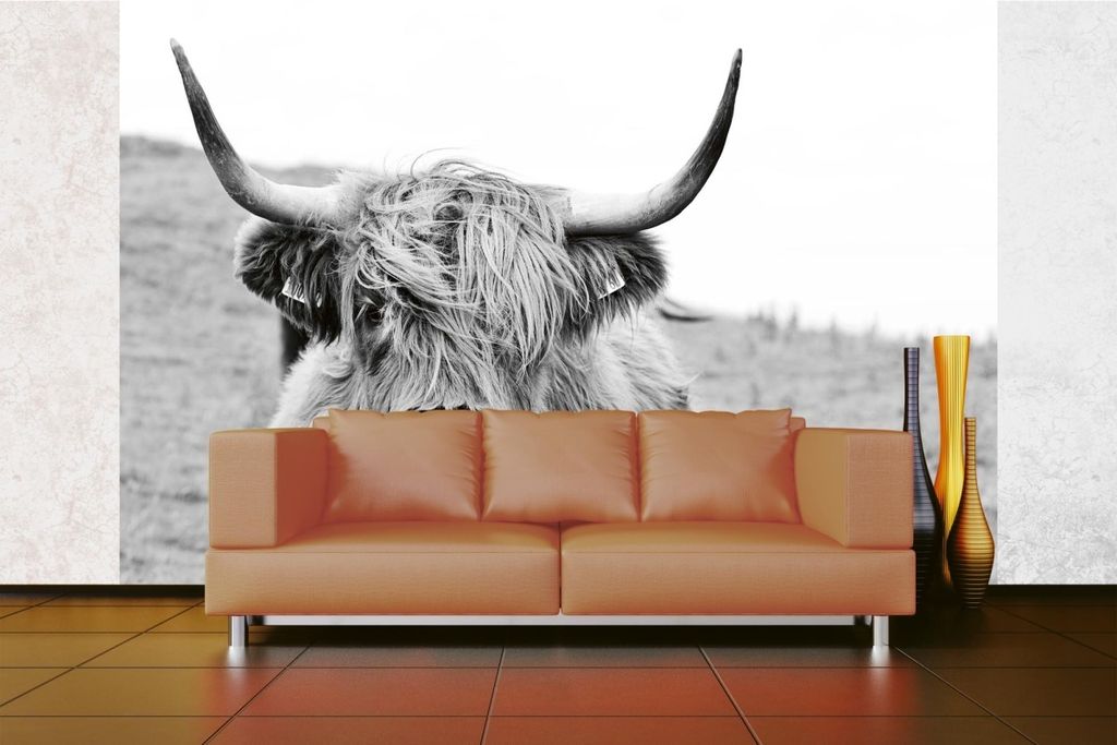 Vlies Fototapete SCHOTTISCHE KUH 375 x 250 cm (inkl. Kleister) - Vlies Tapete, Wandtapete, Wandbilder - Tapete für Wohnzimmer Schlafzimmer, Büro,...