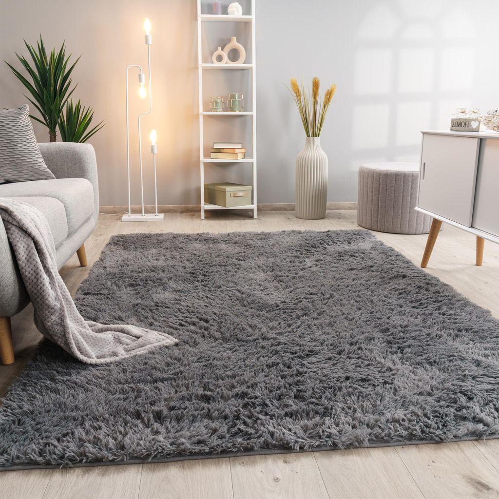 A living room scene with a rug, sofa, and shelving unit.