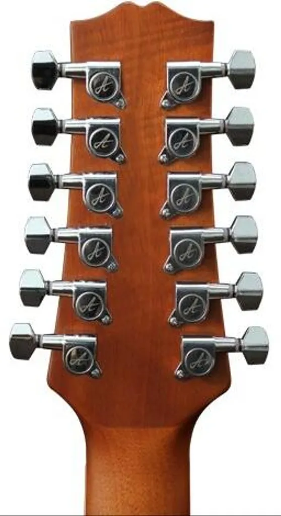 Ashton D25/12EQ guitare folk 12 cordes avec préampli B-Band T35
