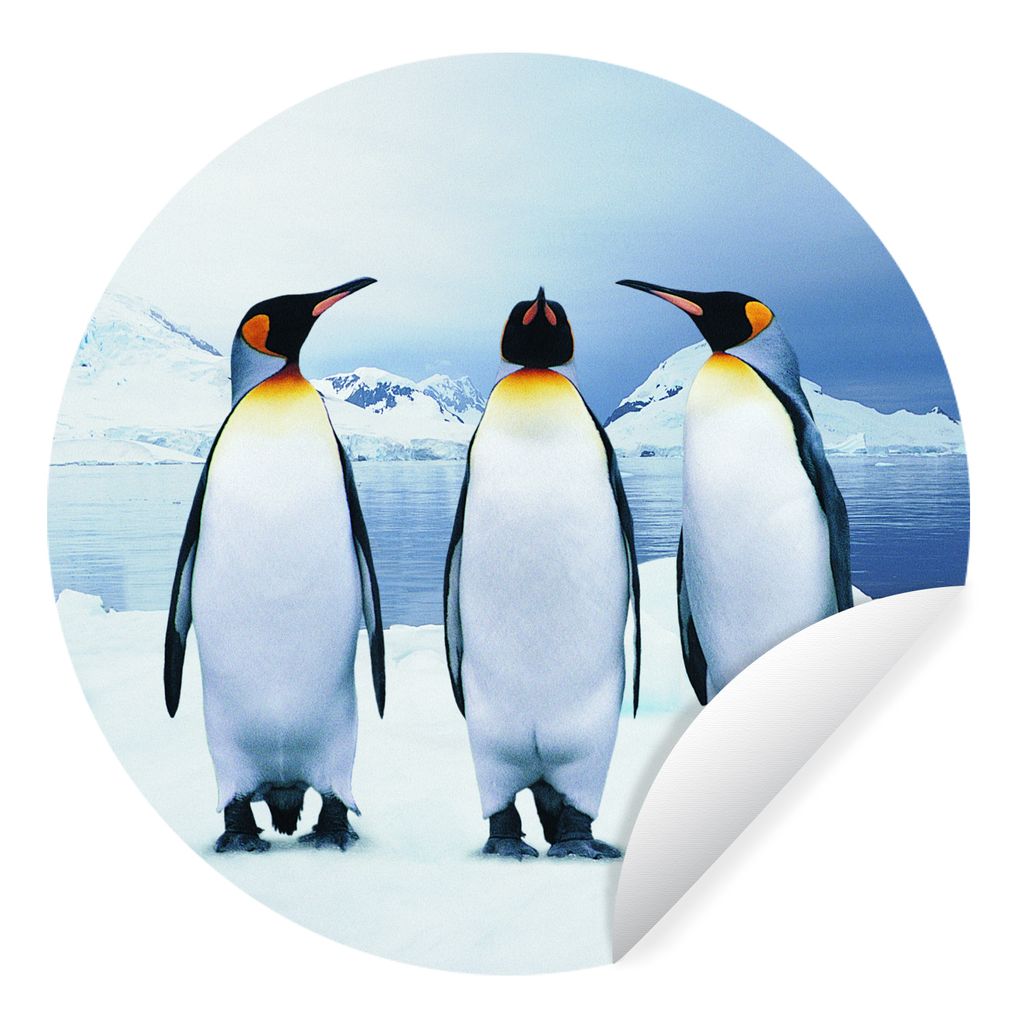 MuchoWow Runde Wandtattoo - Wandsticker Tapete Aufkleber Drei Pinguine Porträt Ø 30 cm Selbstklebend und Repositionierbar - Wandaufkleber - Kre...