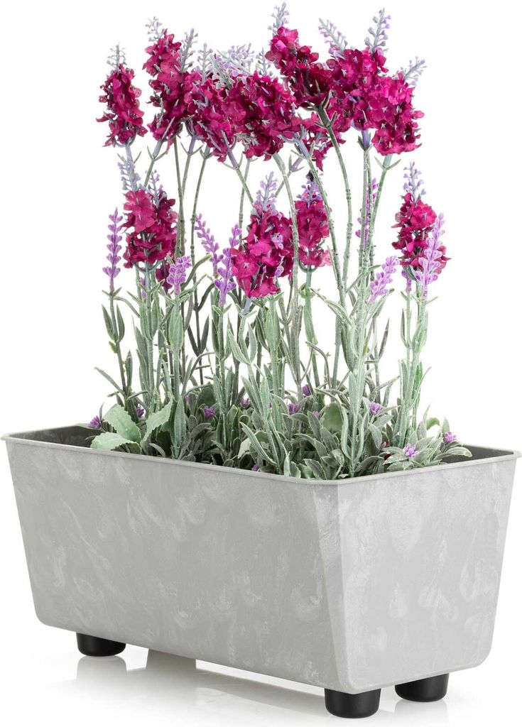 HowHomely | Jardinière - Salvia - 28,5x17 cm - Béton gris - Image du produit 