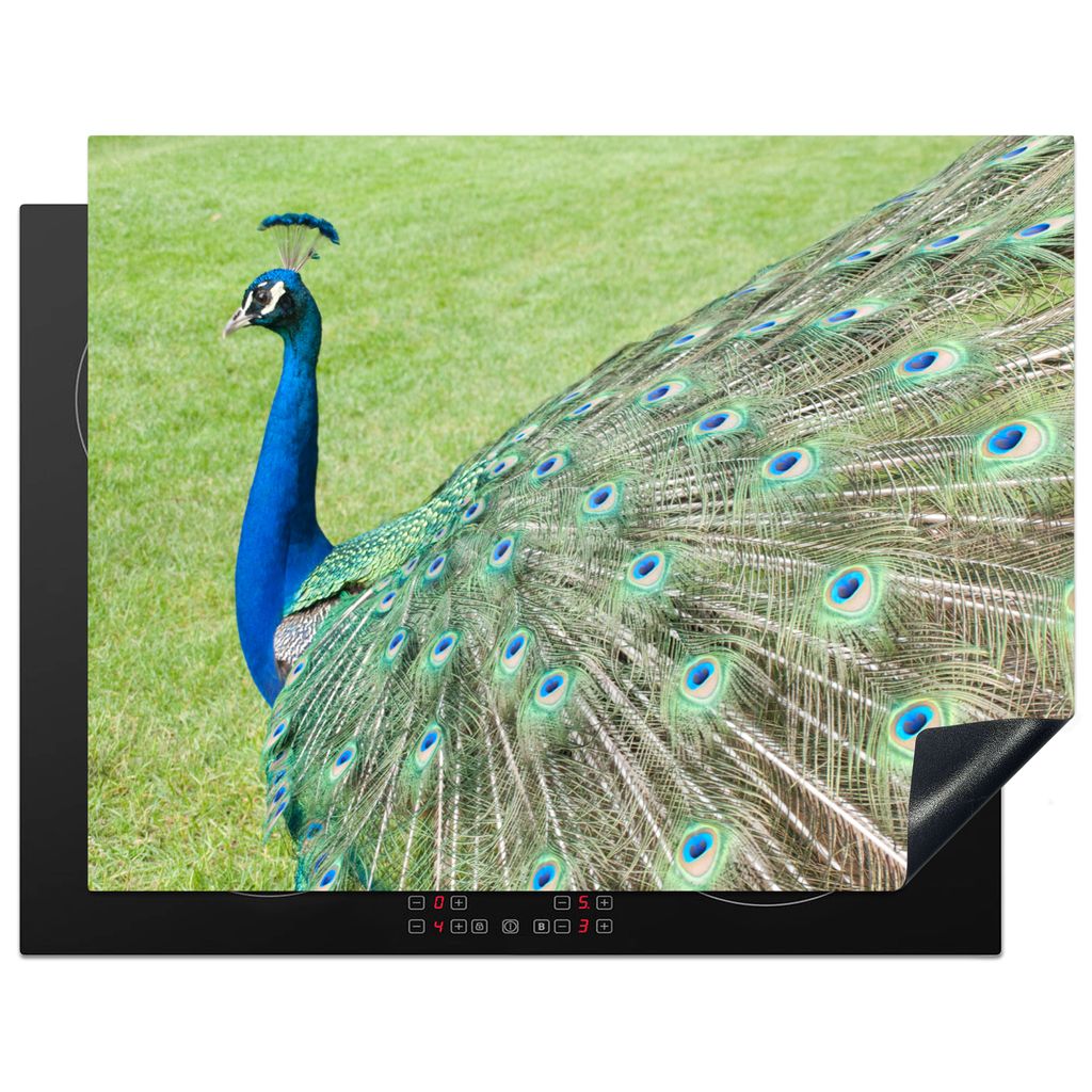 KitchenYeah Herdabdeckplatte Pfau - Vogelmuster , 77x59cm, Küche Deko, Glaskeramikkochfeld Herdabdeckung, Abdeckplatte fùr Kochfeld
