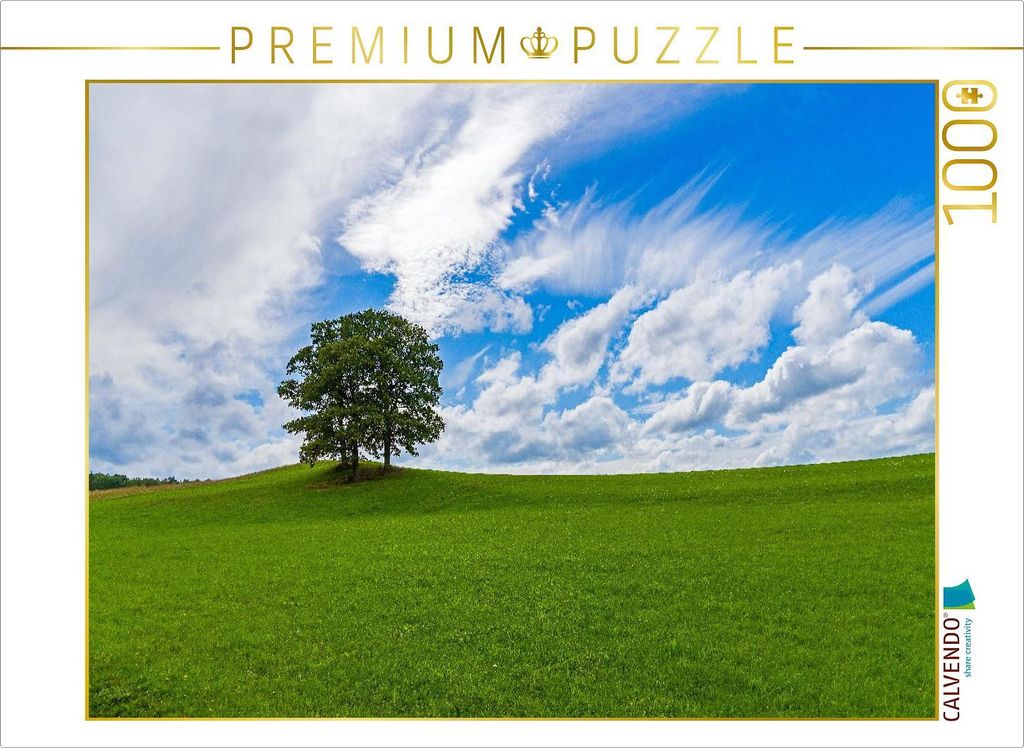 CALVENDO Puzzle Wiesenlandschaft in der Eifel | 1000 Teile Lege-Größe 64x48cm Foto-Puzzle für glückliche Stunden
