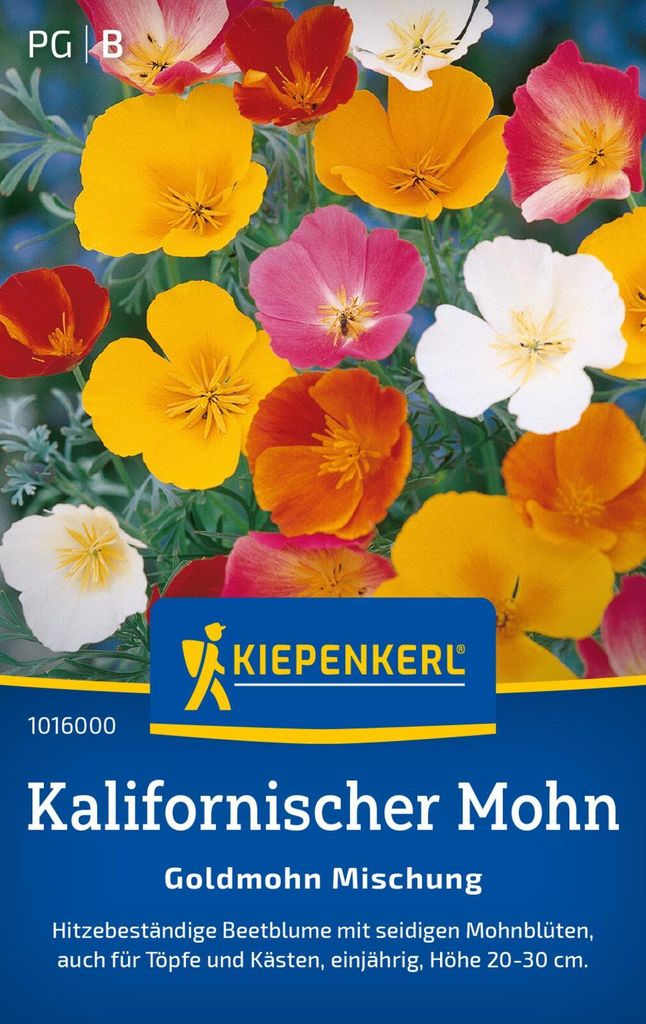 Kiepenkerl Blumensamen Kalifornischer Goldmohn Eschscholzia californica 120 Pflanzen