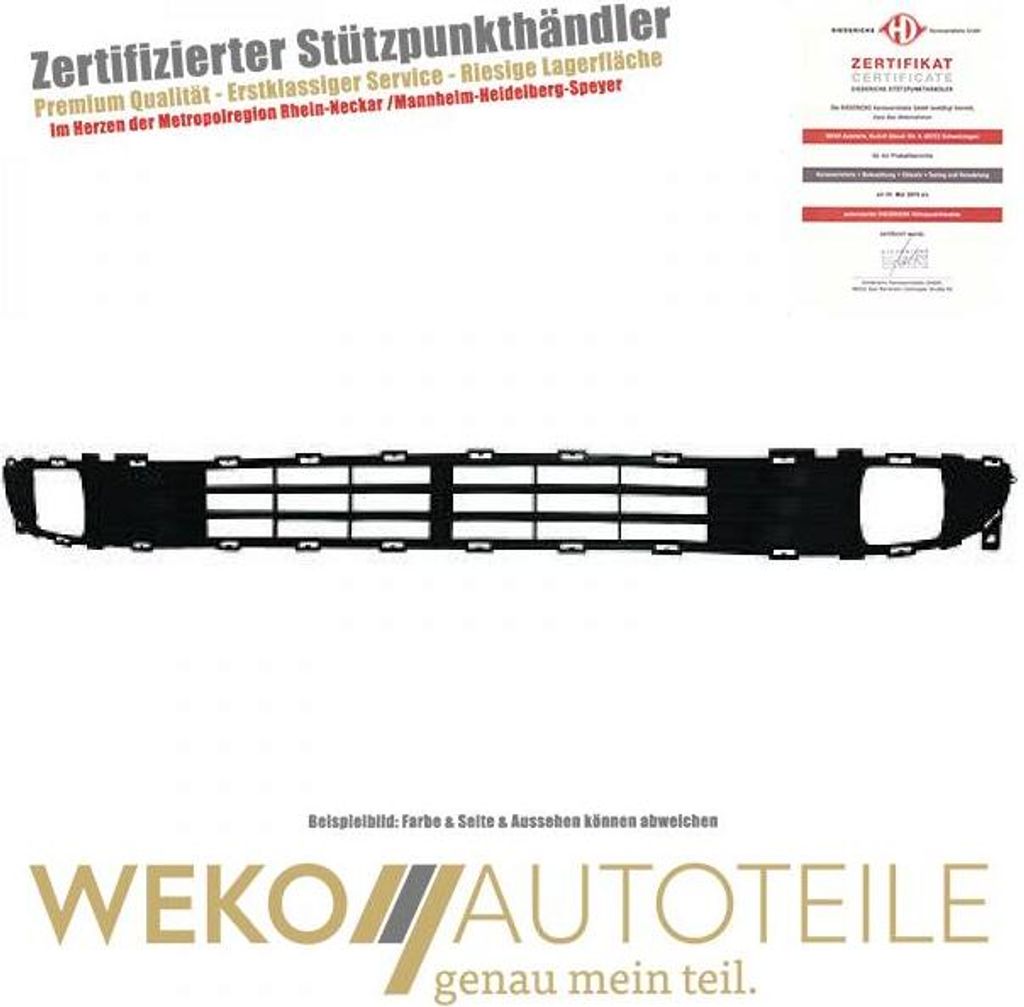 Lüftungsgitter Stoßstange vorne DIEDERICHS 6541046 für KIA