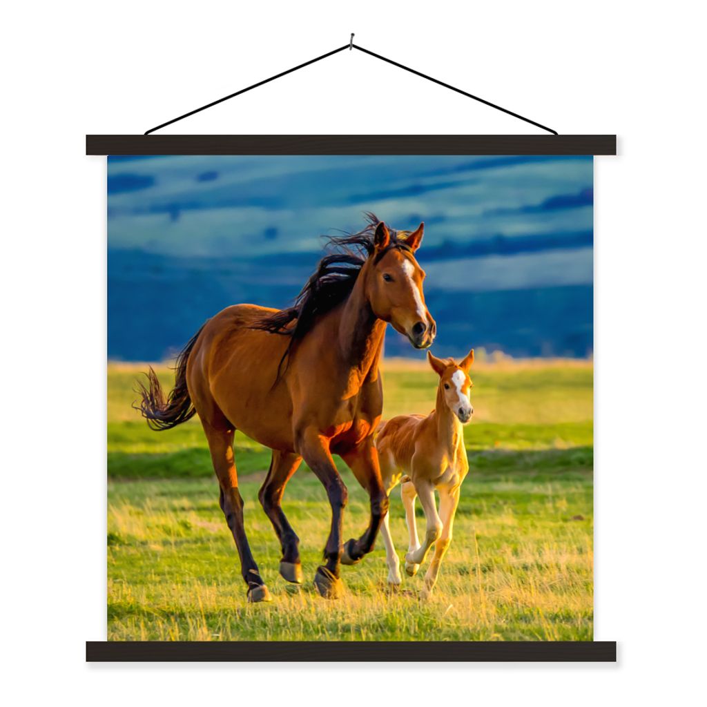 MuchoWow Textilposter Pferde - Gras - Tiere - Landschaft - Natur 40x40 cm mit schwarzem Rahmen - Fotos