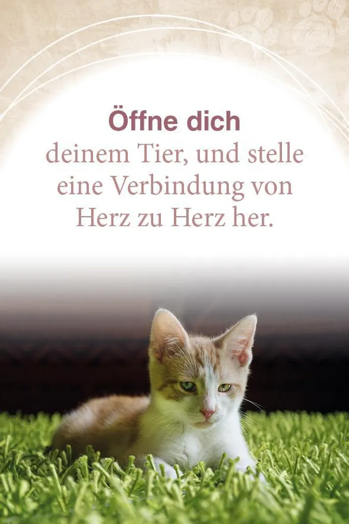 Apprendre à communiquer avec les animaux : méthode et guide de télépathie