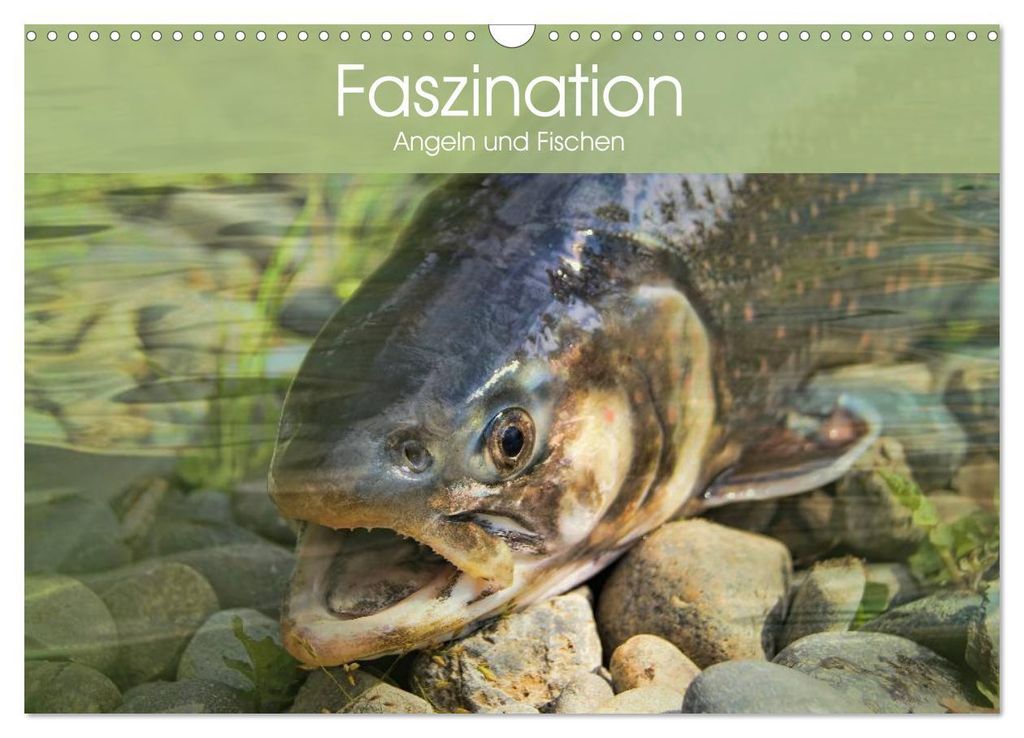 Faszination Angeln und Fischen (Wandkalender 2027 DIN A3 quer), CALVENDO Monatskalender