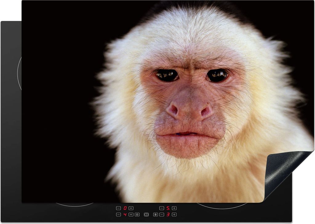 KitchenYeah Herdabdeckplatte Affe - Fell - Schwarz , 75x52cm, Küche Deko, Glaskeramikfeld Herdabdeckung, Abdeckplatte fùr Kochfeld