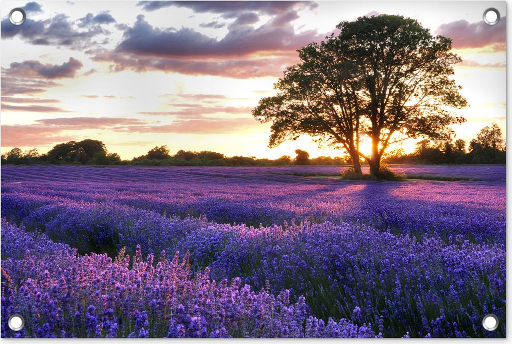 MuchoWow 60x40 cm Outdoor-Poster Gartendeko Sichtschutz Garten Poster für den Garten Sommerabendlicher Sonnenuntergang über einem Feld mit -La...