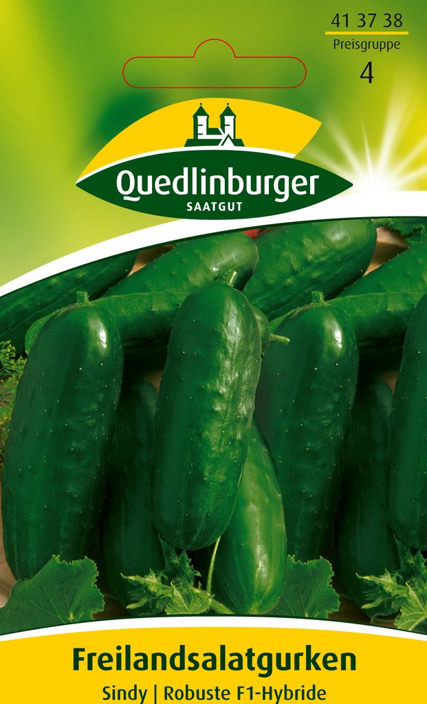 Freilandsalatgurke, Sindy F1 Produktbild 