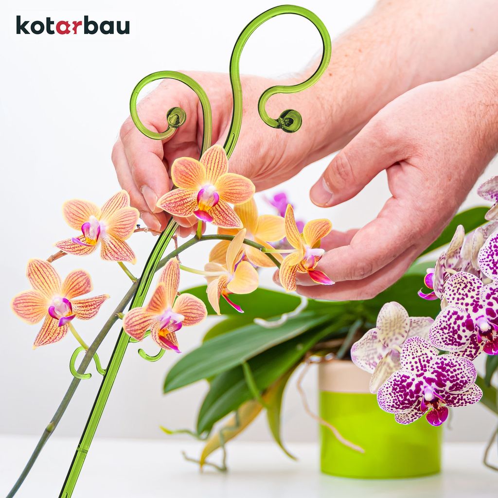 KOTARBAU® Sada 6 podpěr pro rostliny zelená PVC 58 cm Obrázek produktu 8