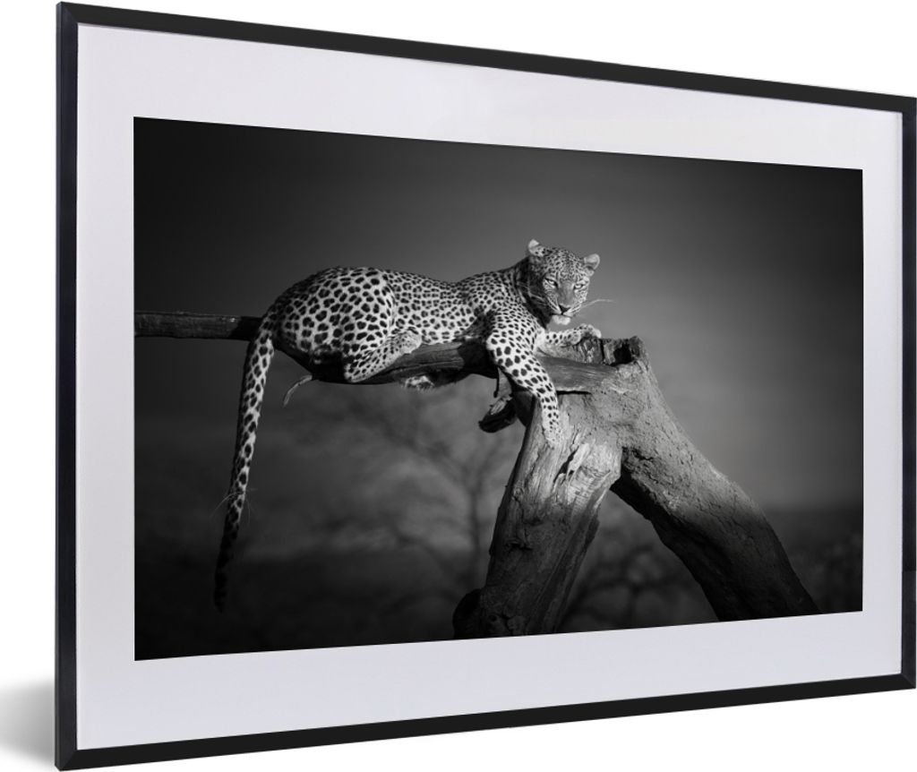 MuchoWow Gerahmtes Poster Panther - Baum - Tiere - Schwarz - Weiß 60x40 cm - Poster mit Schwarzem Bilderrahmen Wandposter Rahmen Foto Bilder - S...