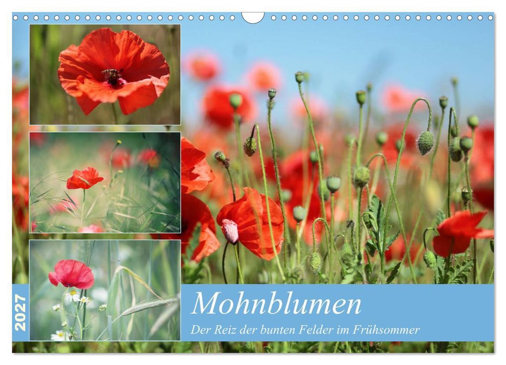 Mohnblumen (Wandkalender 2027 DIN A3 quer), CALVENDO Monatskalender