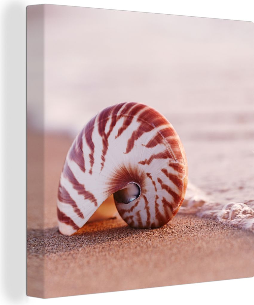 MuchoWow - Leinwandbilder - Muschel - Strand - Meer - Sand, Wandbild, Wanddeko Bilder Wohnzimmer, 20x20 cm