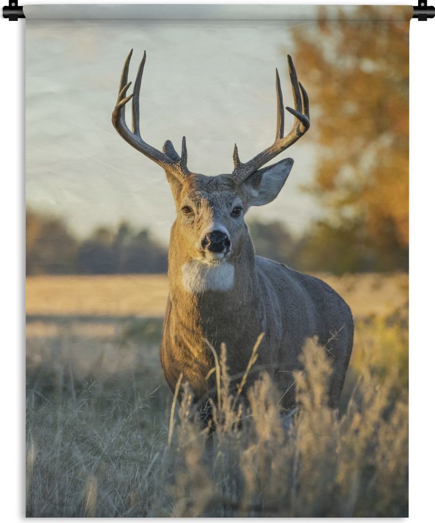 MuchoWow Wandteppich Wandbehang Hirsche - Gras - Herbst - Geweih - Natur - Tiere 90x120 cm Tapisserie Dekoration Wandtuch - Wanddeko