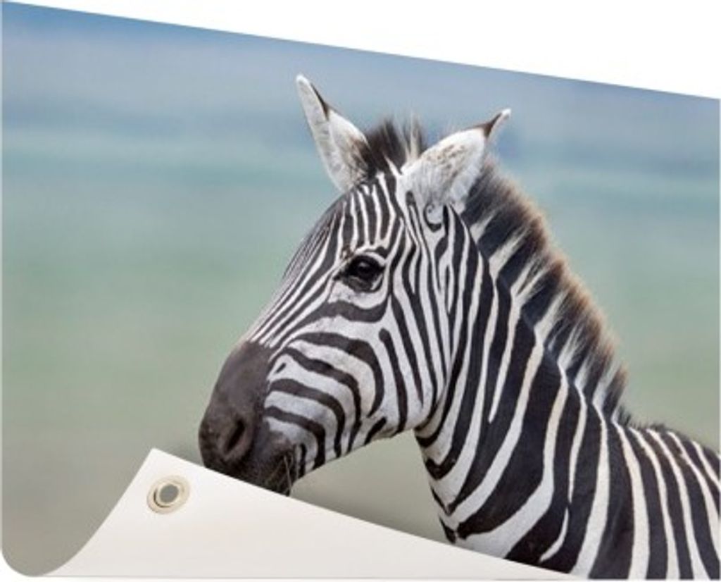 MuchoWow 120x80 cm Outdoor-Poster Gartendeko Sichtschutz Garten Poster für den Garten Zebra Nahaufnahme