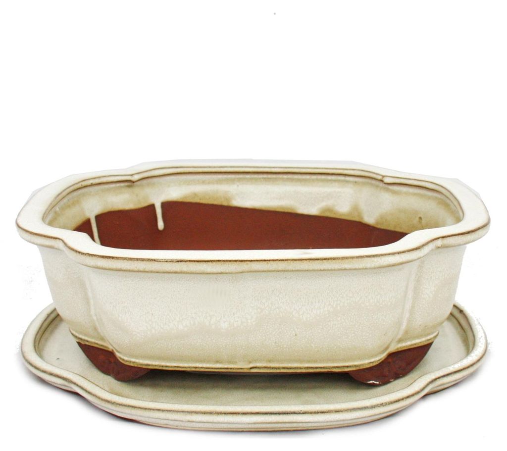 Bonsai-Schale mit Untersetzer Gr. 4 – hellbeige – Produktbild 