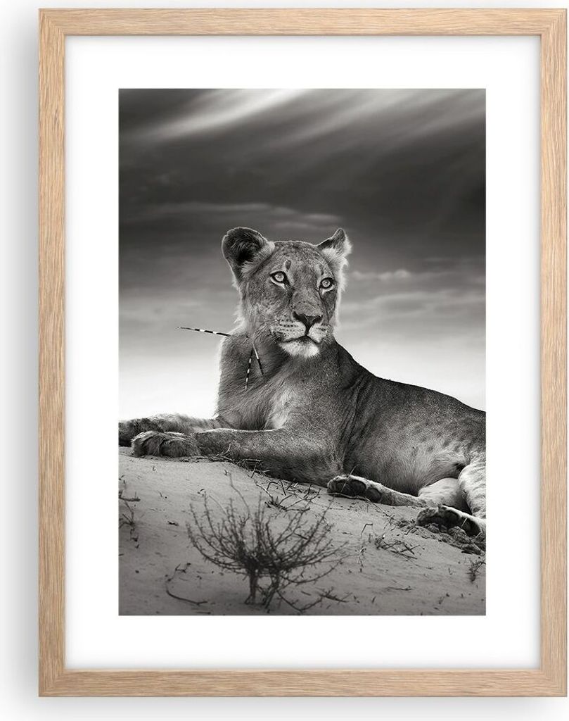 Gerahmtes Poster - Rahmen in heller Eiche - Tierwelt Produktbild 