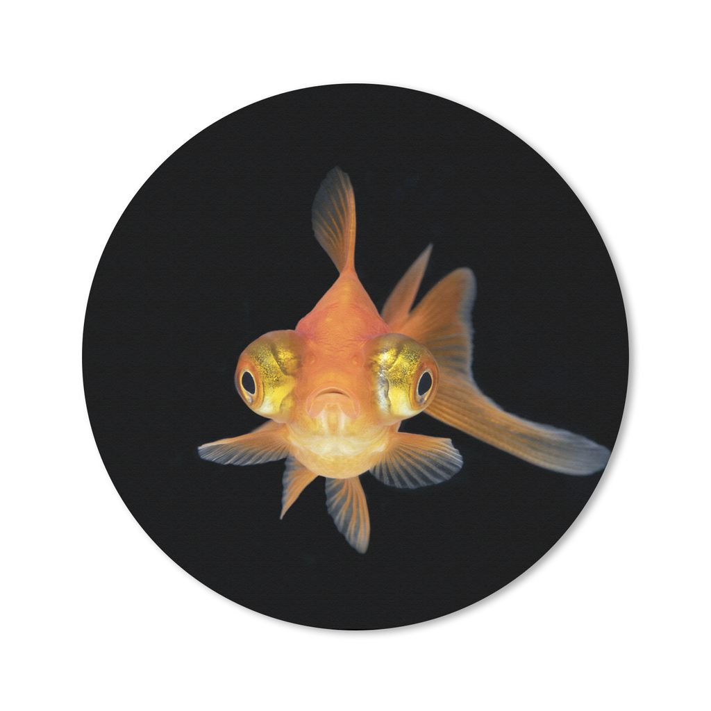 MuchoWow Mauspad Mousepad Goldfisch - Meerestiere - Augen 30x30 cm - Mousepads - Maus Mat - Pad - Mausunterlage