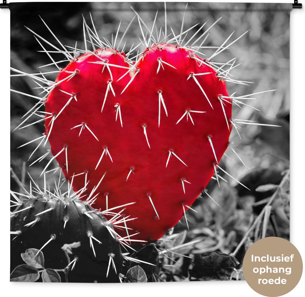 MuchoWow Wandteppich Wandbehang Schwarz-Weiß-Foto mit einem roten herzförmigen Kaktus 150x150 cm Tapisserie Dekoration Wandtuch - Wohnaccessoir...
