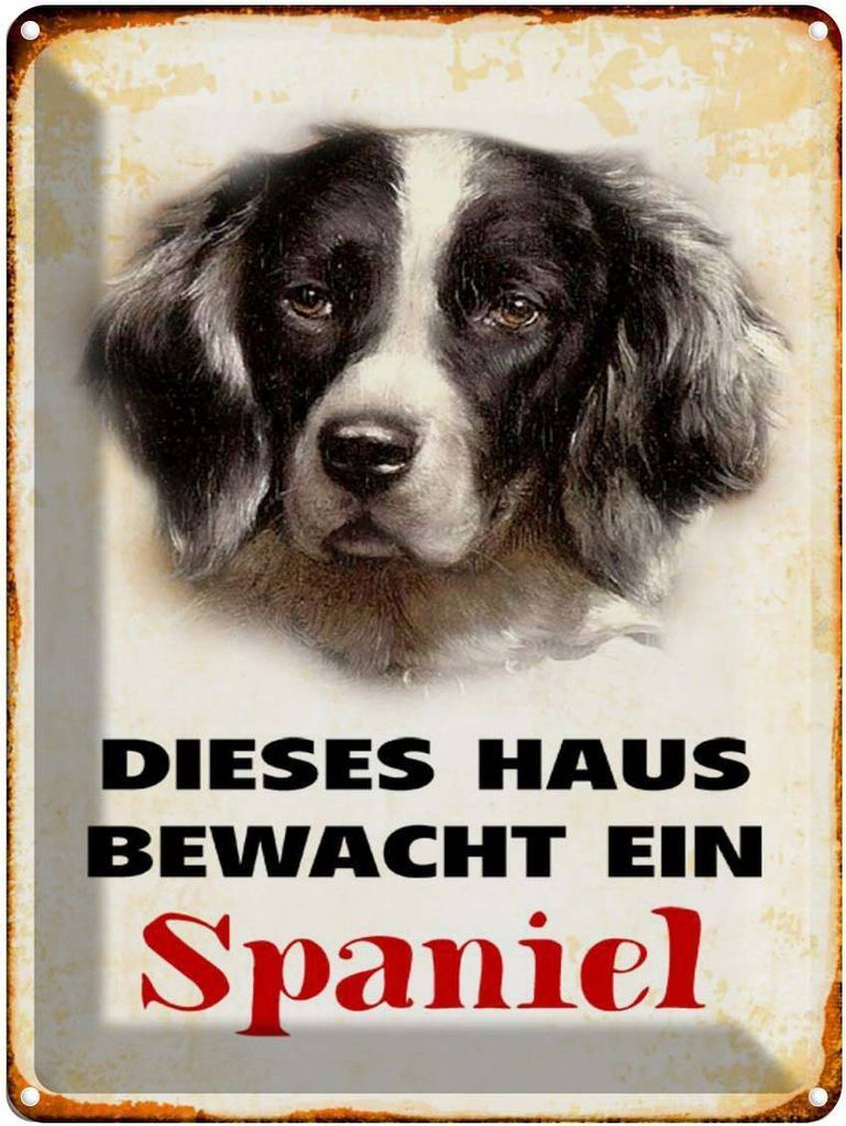 vianmo Blechschild 40x30 cm Hund dieses Haus bewacht ein Spaniel