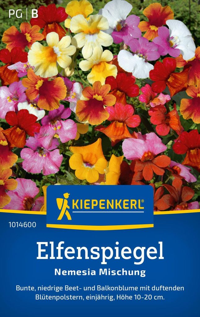 Kiepenkerl Elfenspiegelsamen Nemesia 100 Pflanzen Produktbild 