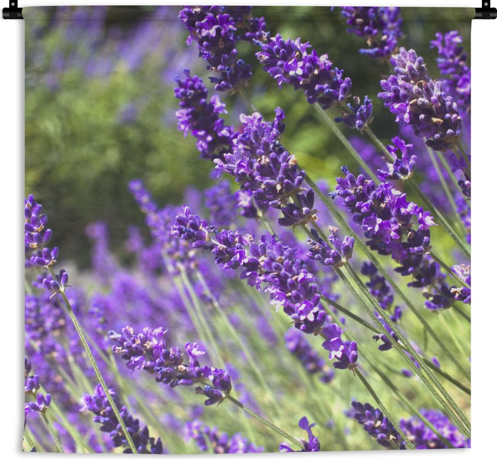 MuchoWow Wandteppich Wandbehang Leuchtend lila Lavendel in der Natur 90x90 cm Tapisserie Dekoration Wandtuch - Wandaufhänger