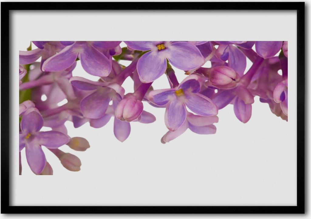 Bild 100x70 MDF-Rahmen Wandkunst Blumen Pflanzen