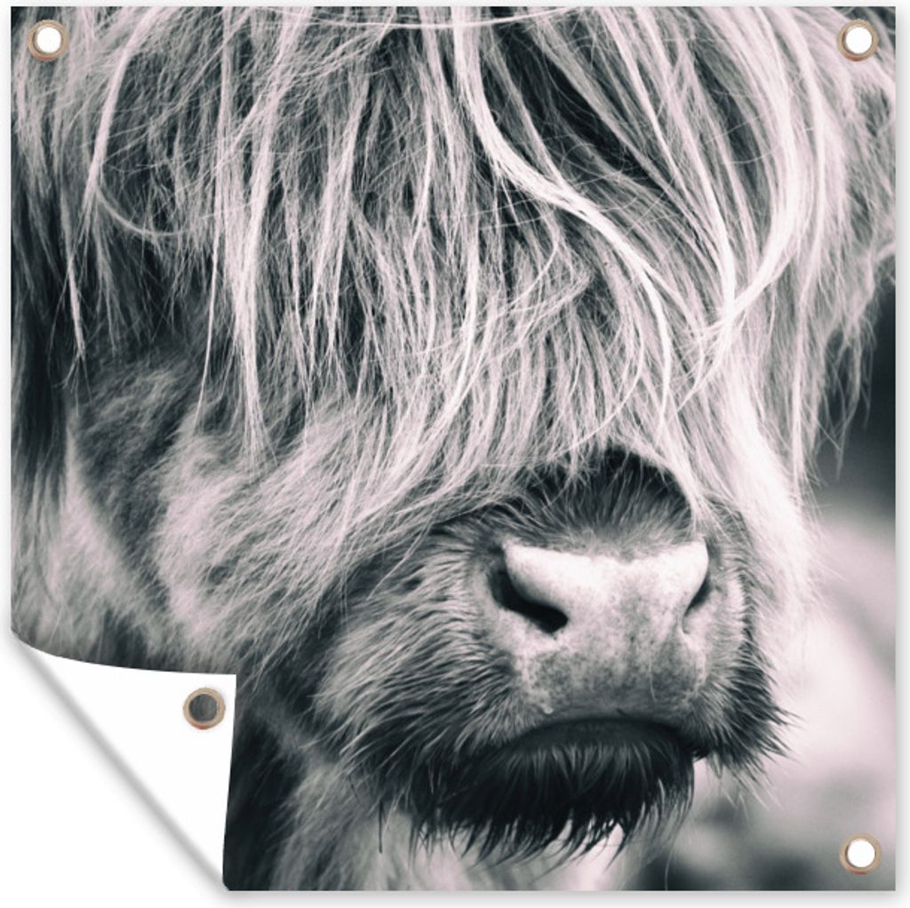 MuchoWow 100x100 cm Outdoor-Poster Gartendeko Sichtschutz Garten Poster für den Garten Schottischer Highlander - Kuh - Schwarz - Weiß